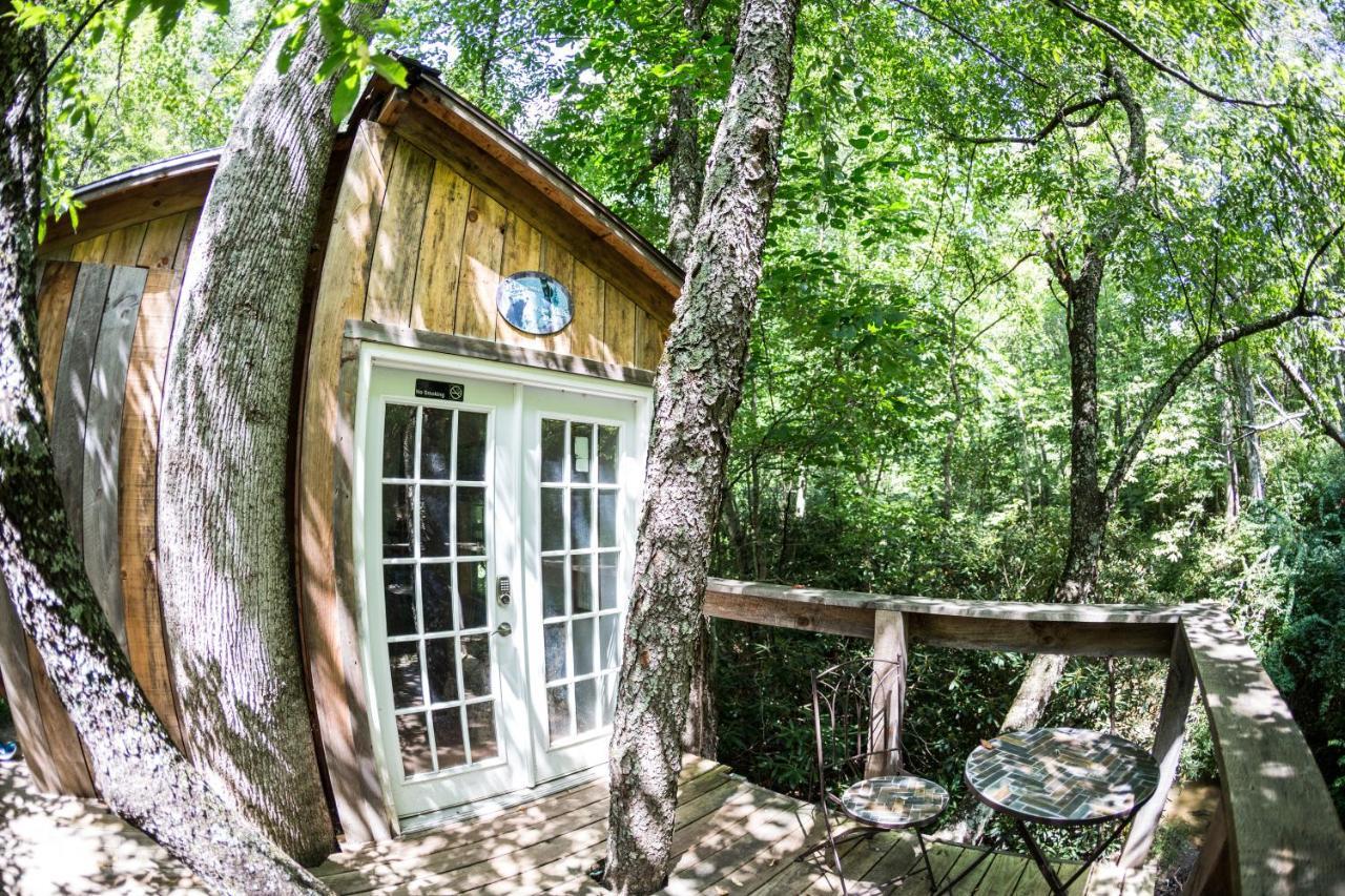 Roan Mountain Mountain Harbour B&B מראה חיצוני תמונה